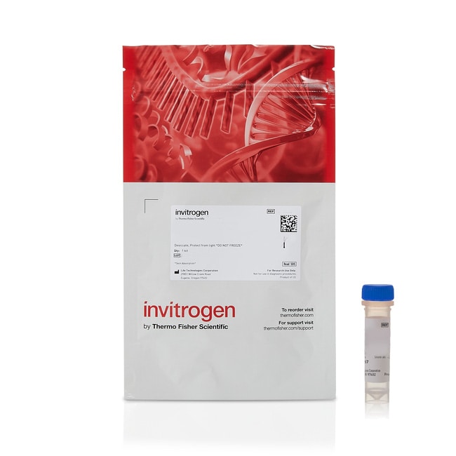 1 MG IODOACETAMIDE ALKYNE 1 MG STORE IN